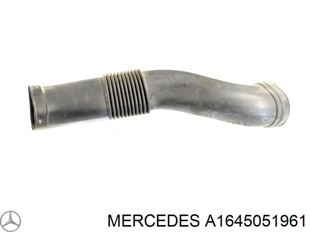 A1645051961 Mercedes