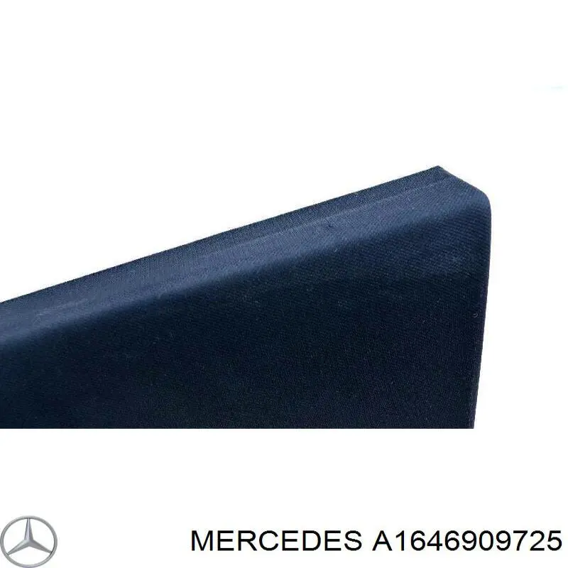 A1646909725 Mercedes