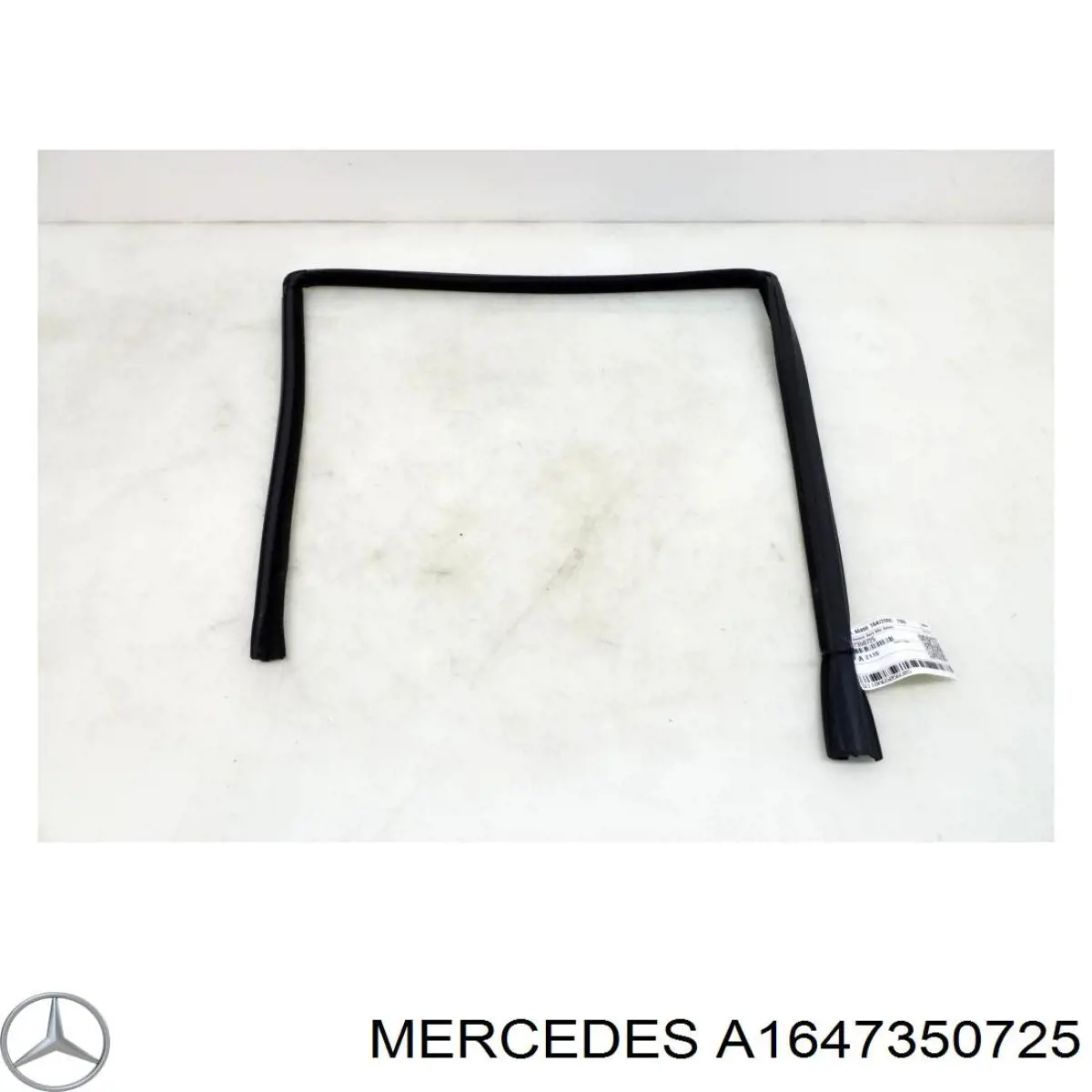 1647350725 Mercedes