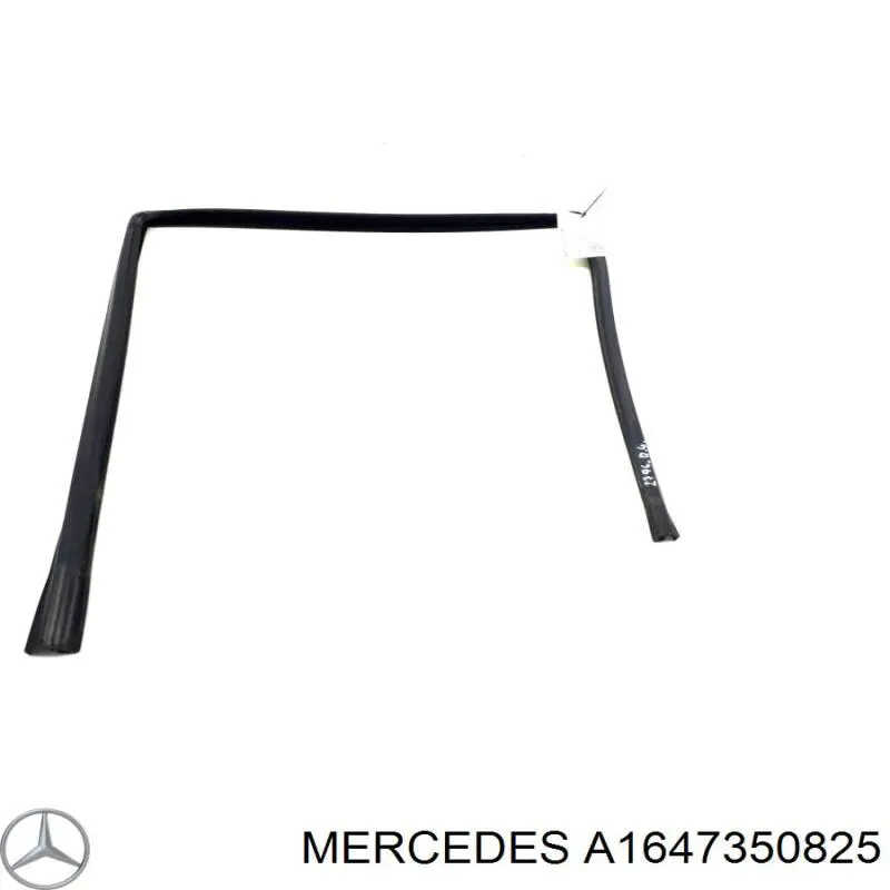 A1647350825 Mercedes