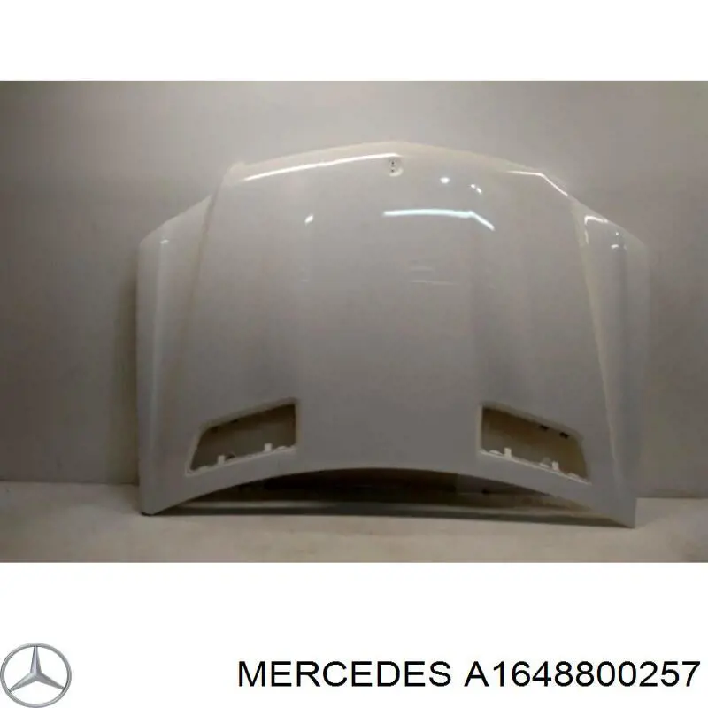 A1648800257 Mercedes Capó delantero