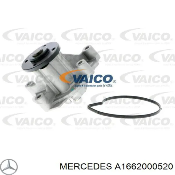 Bombeadora de agua Mercedes A1662000520 precio, desde 45,38 EUR