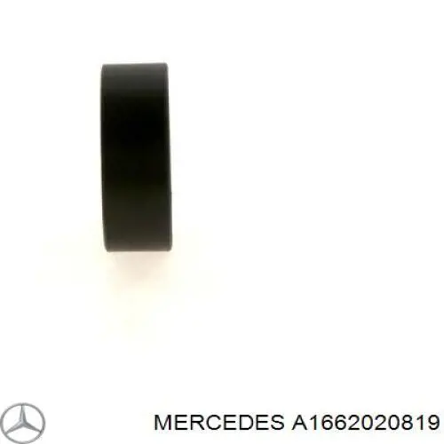 Polea inversión/guía, correa auxiliar servicios Mercedes A1662020819 precio, desde 9,52 EUR