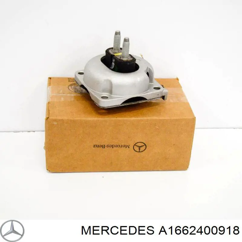 Taco de caja de cambios Mercedes A1662400918 precio, desde 45,13 EUR