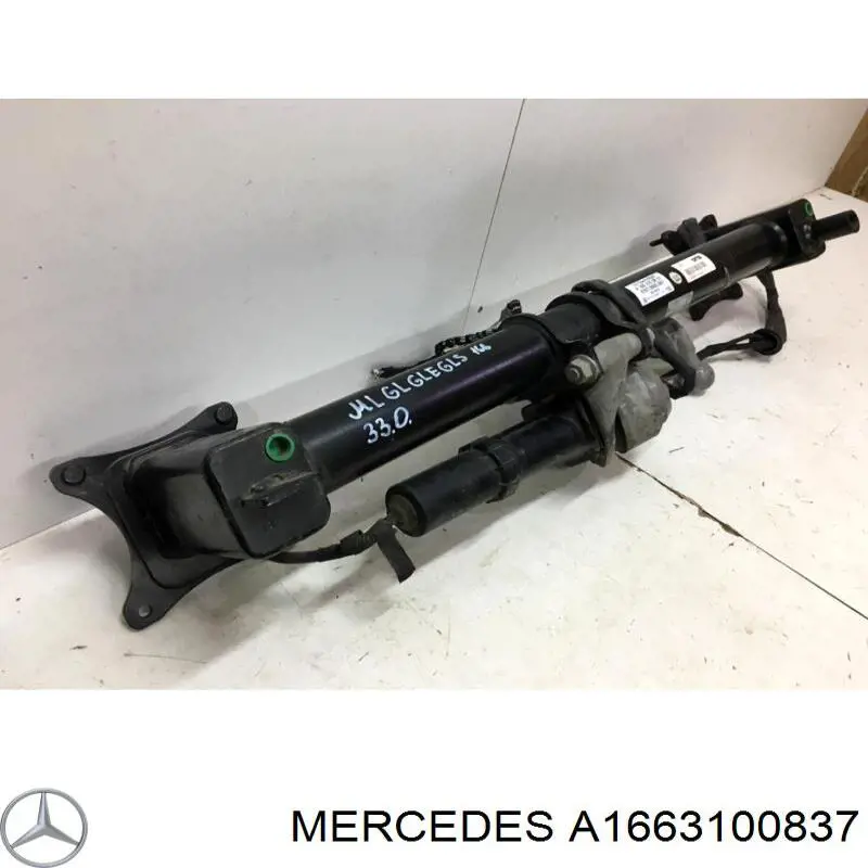 A1663100837 Mercedes