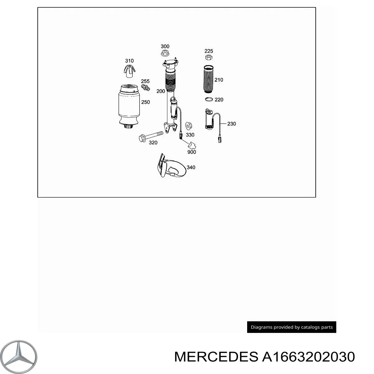 A1663202030 Mercedes Amortiguadores posteriores