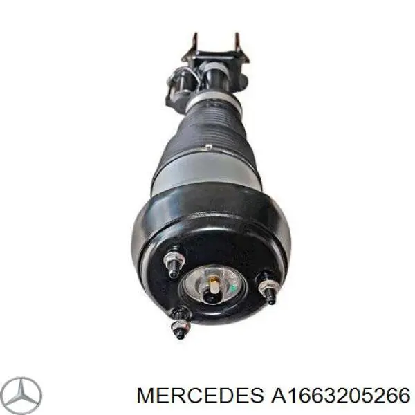 A1663205266 Mercedes amortiguador delantero derecho