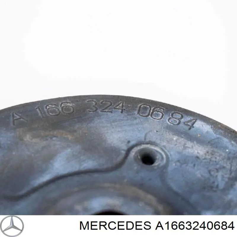 A1663240684 Mercedes