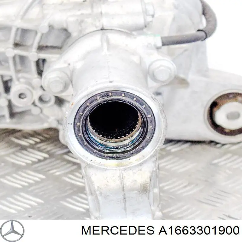 A1663301900 Mercedes