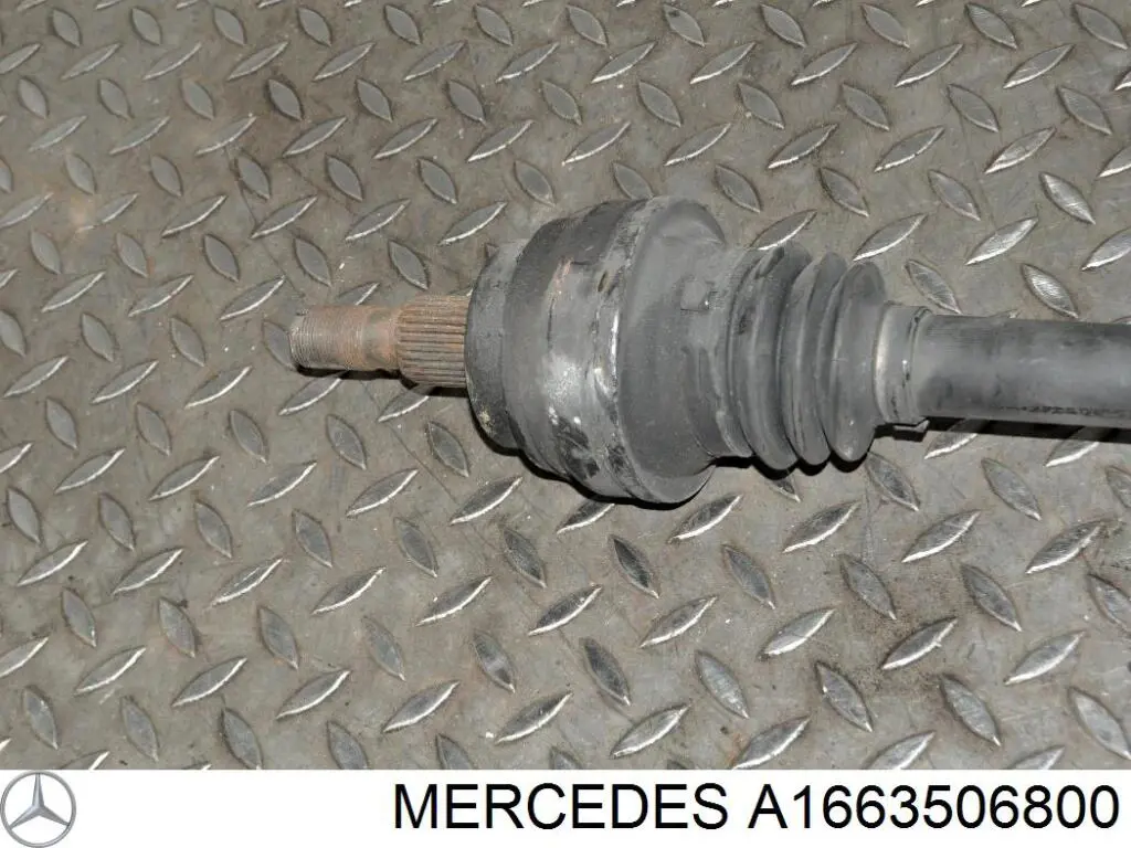 A1663506800 Mercedes