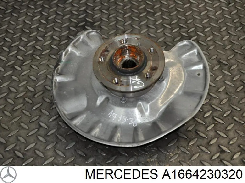 Protector de disco de freno trasero izquierdo Mercedes A1664230320 precio, desde 34,70 EUR