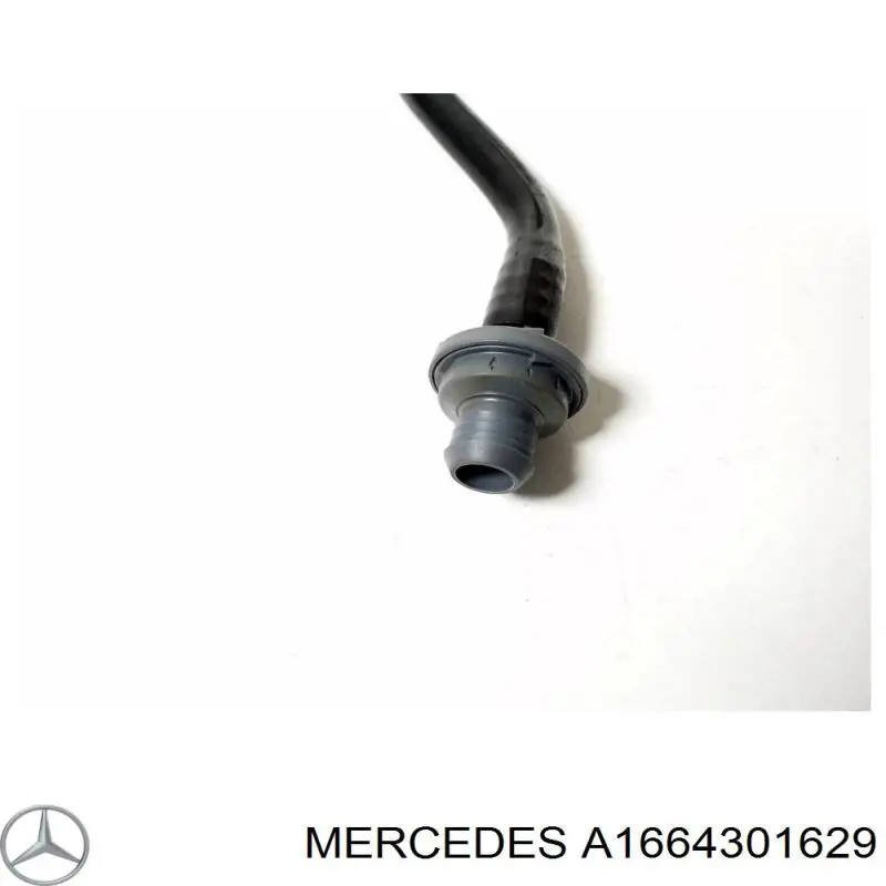 1664301629 Mercedes