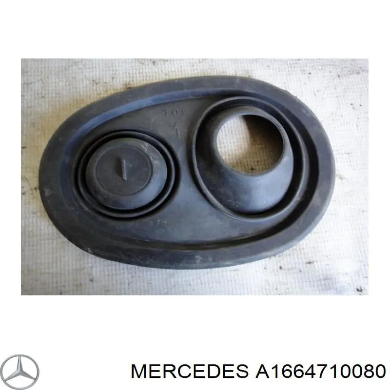 A1664710080 Mercedes 