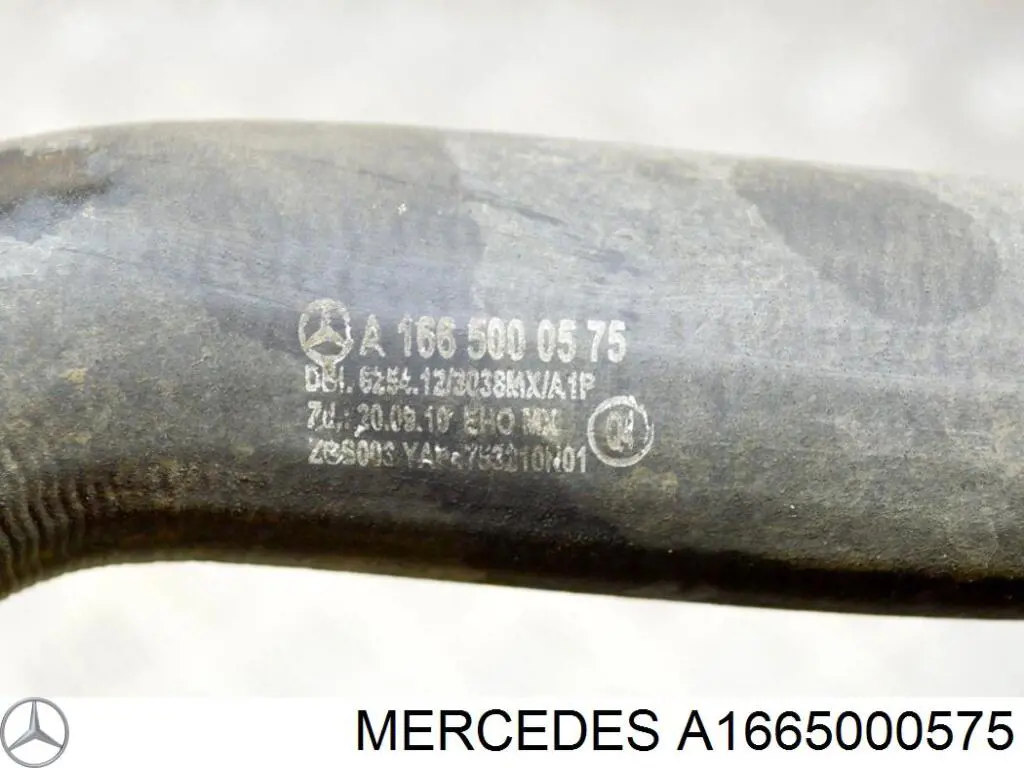 A1665000575 Mercedes manguera refrigerante para radiador inferiora