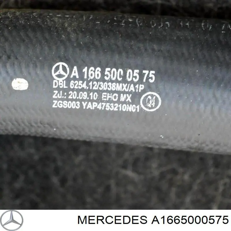 Comprar A1665000575 Mercedes Manguera inferior del radiador