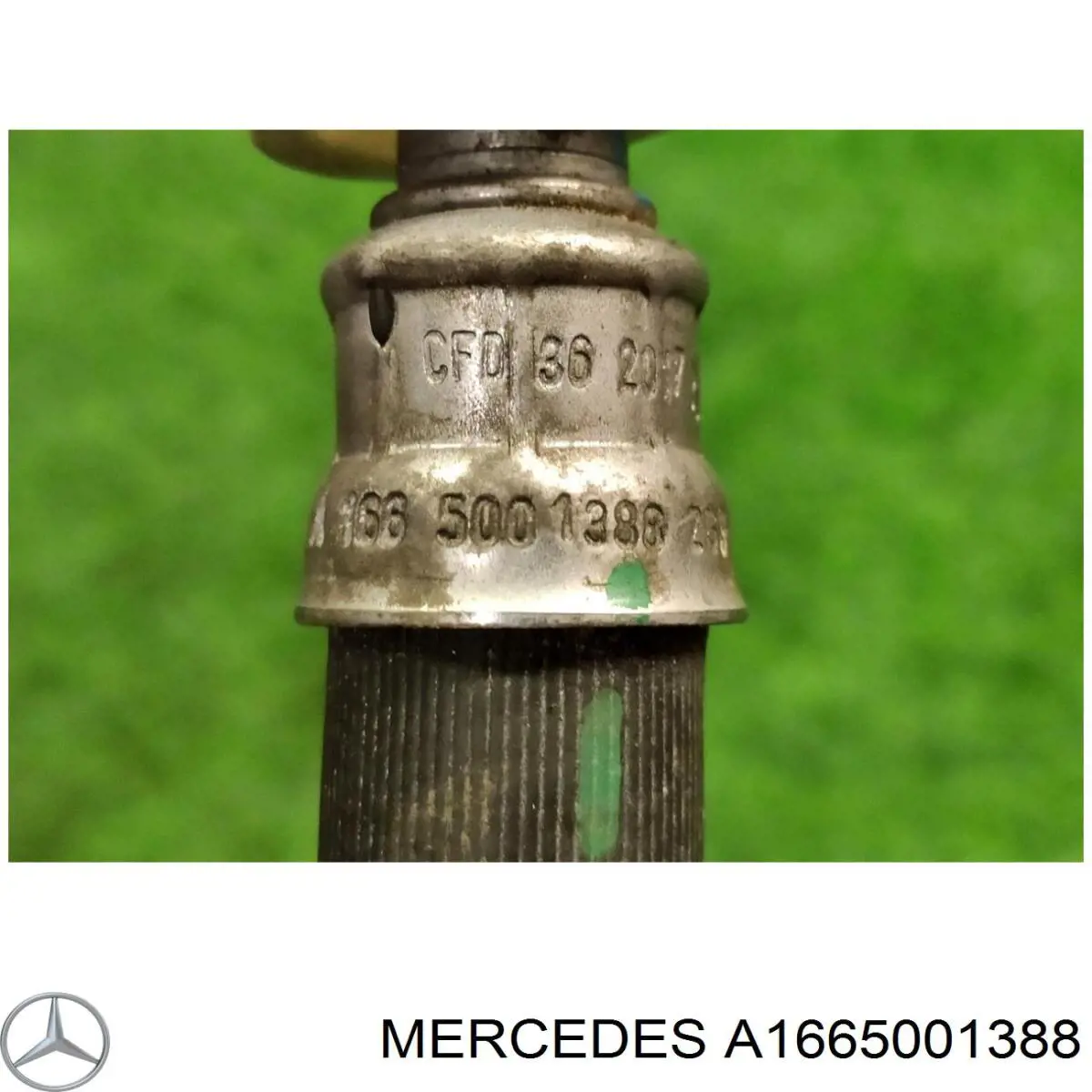 A1665001388 Mercedes