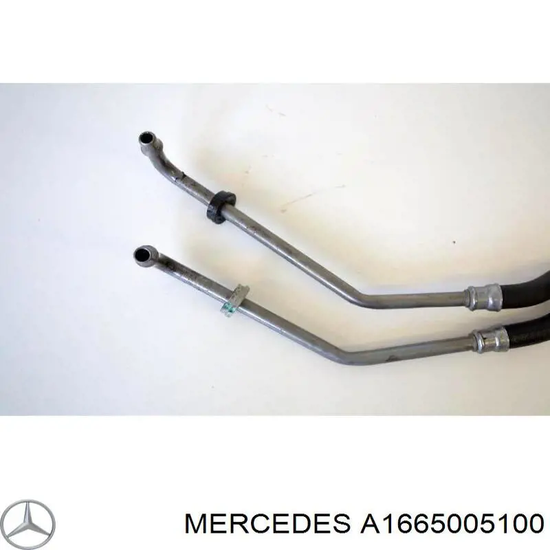 A1665005100 Mercedes