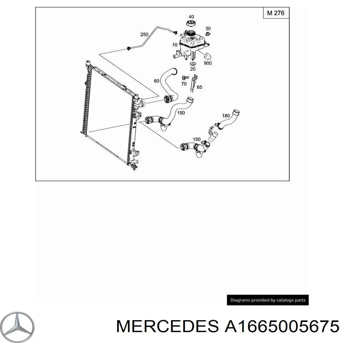 1665005675DB Market (OEM)