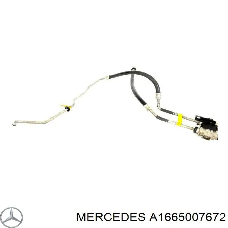 A1665007672 Mercedes