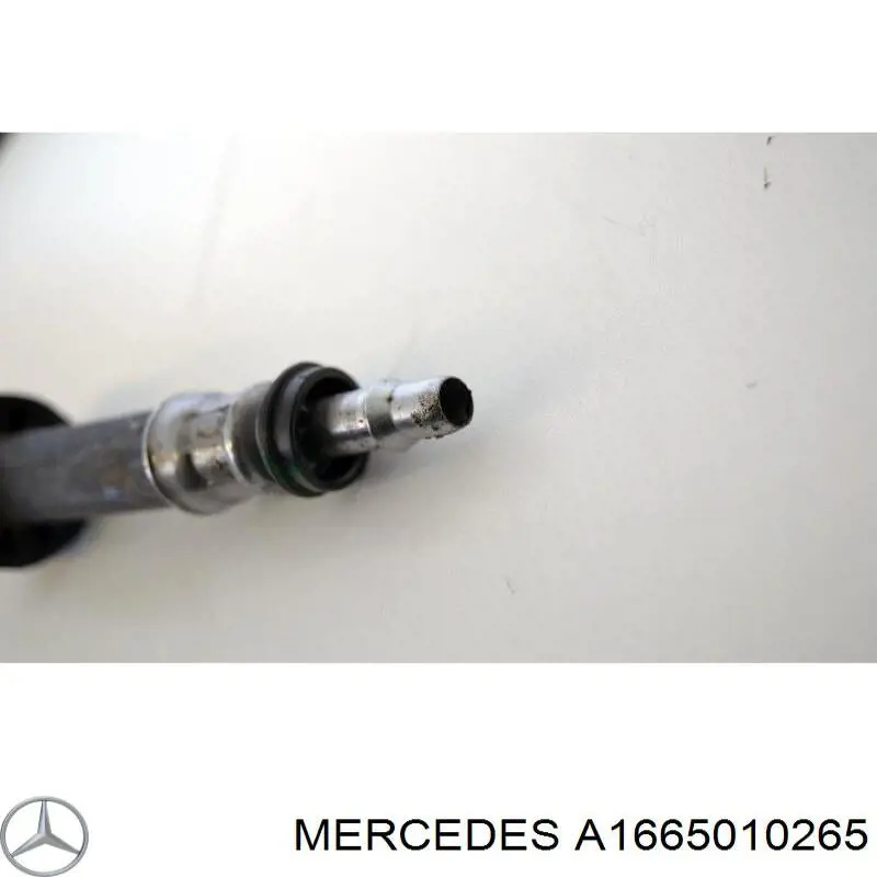 A1665010265 Mercedes