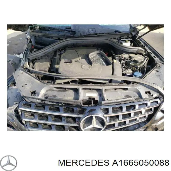 A1665050088 Mercedes