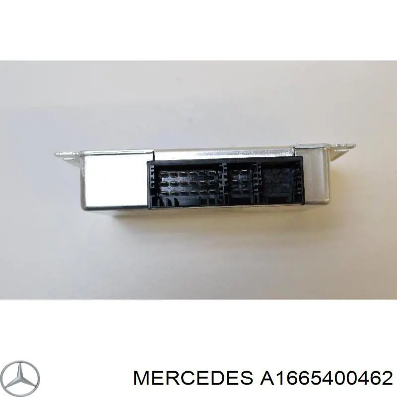 A1665400462 Mercedes