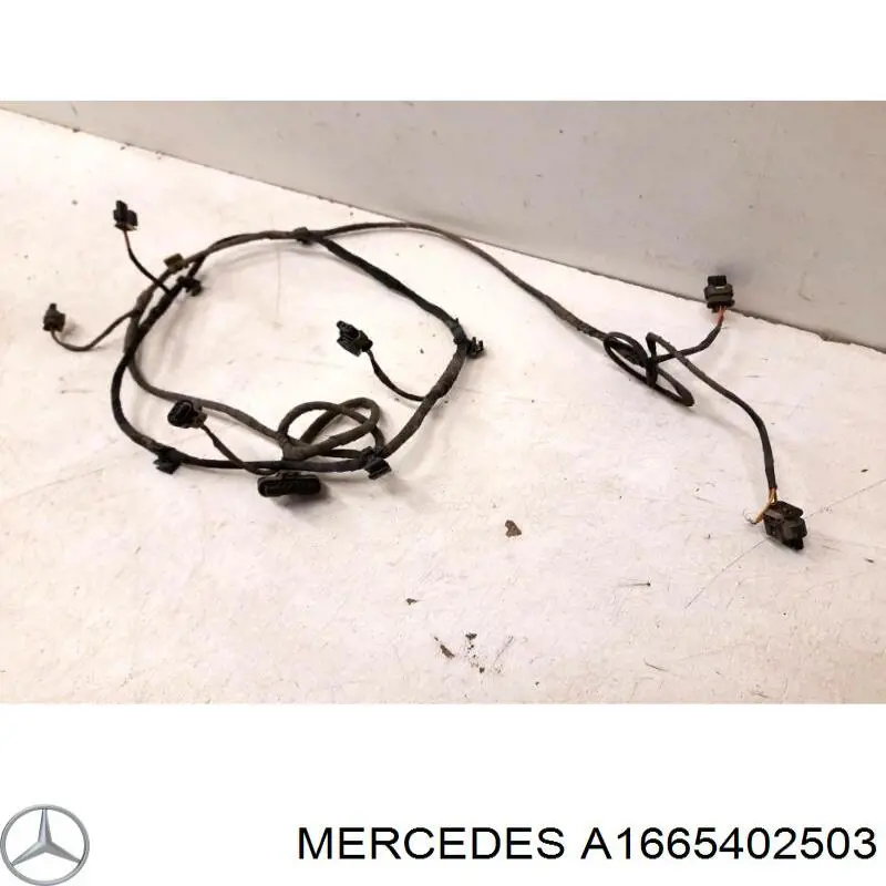 A1665402503 Mercedes