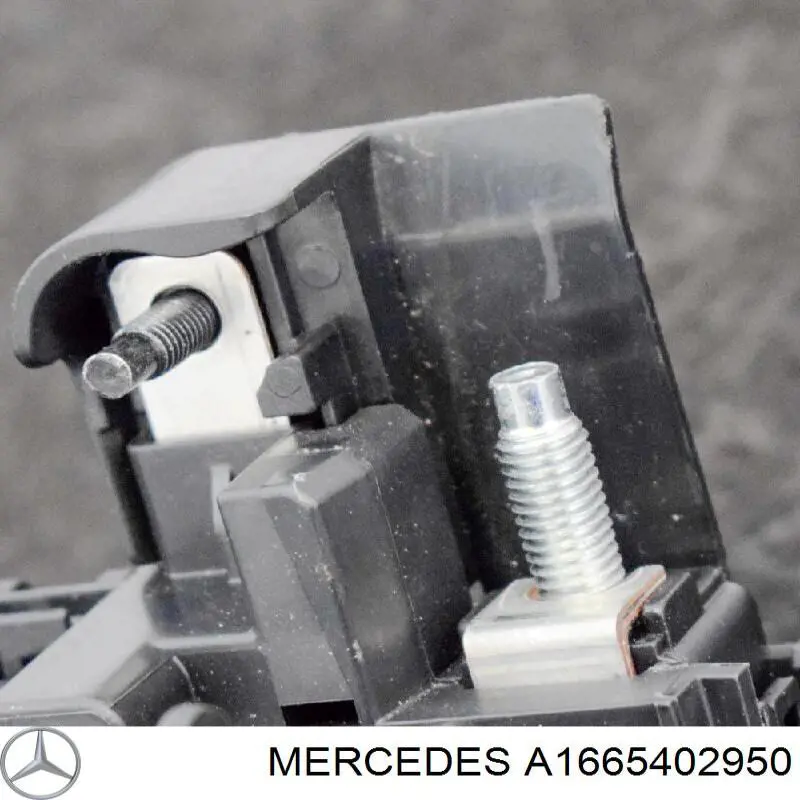 A1665402950 Mercedes