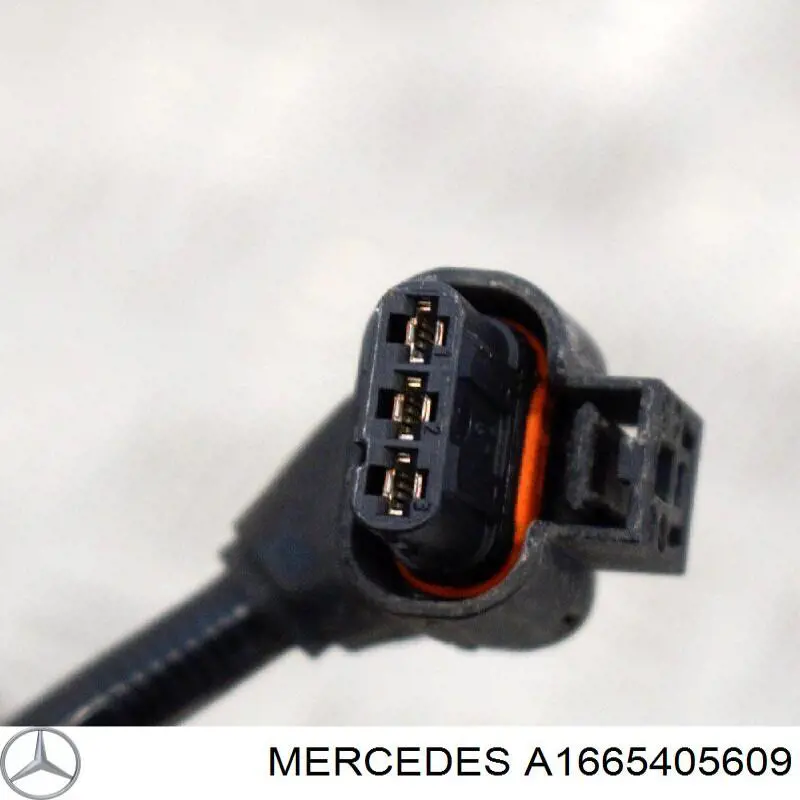 A1665405609 Mercedes