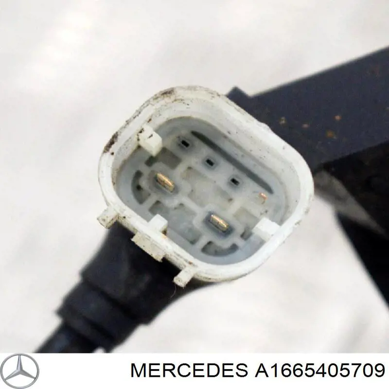 A1665405709 Mercedes