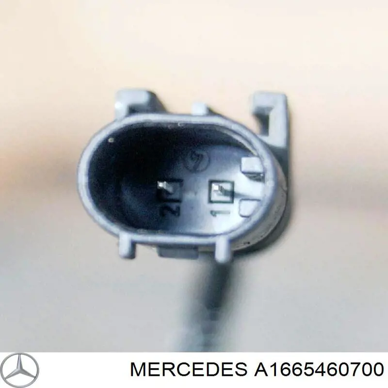 A1665460700 Mercedes