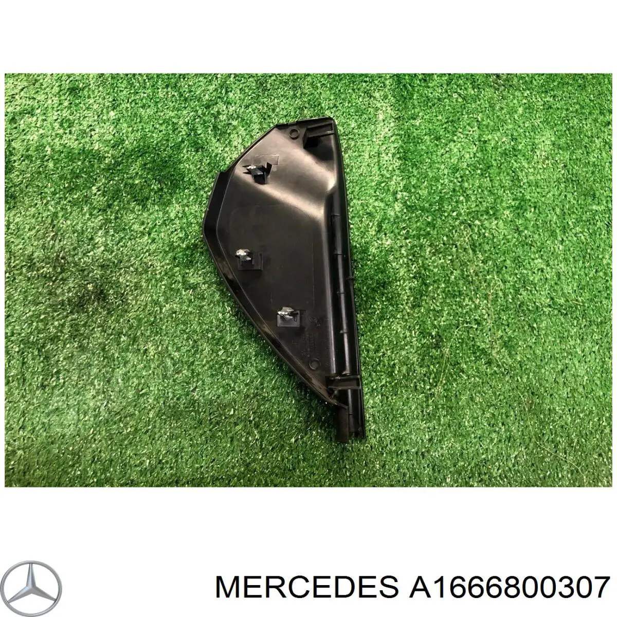 A1666800307 Mercedes