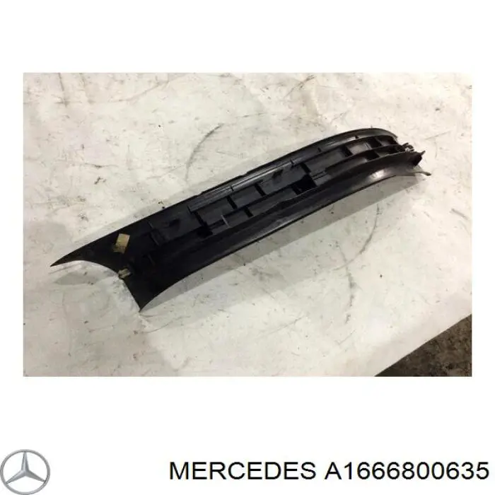 A1666800635 Mercedes