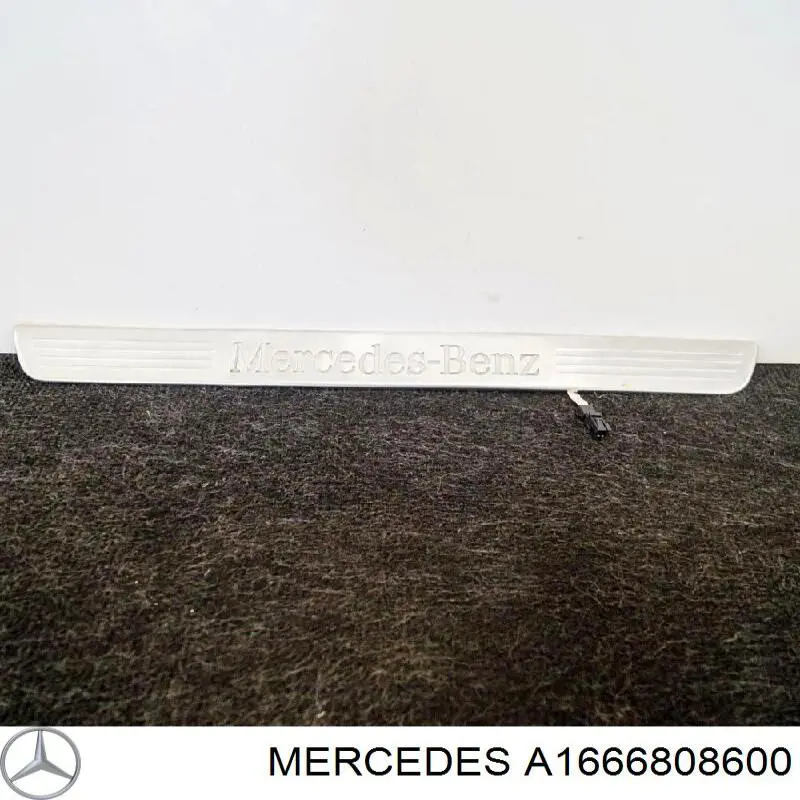 A1666808600 Mercedes