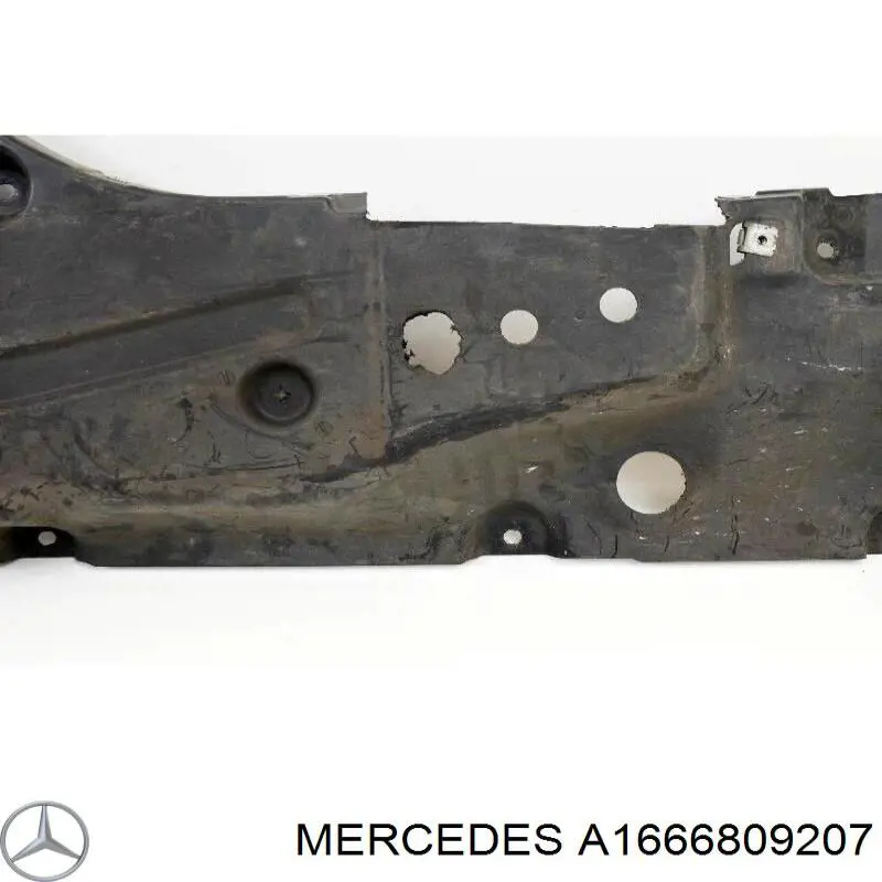 A1666809207 Mercedes