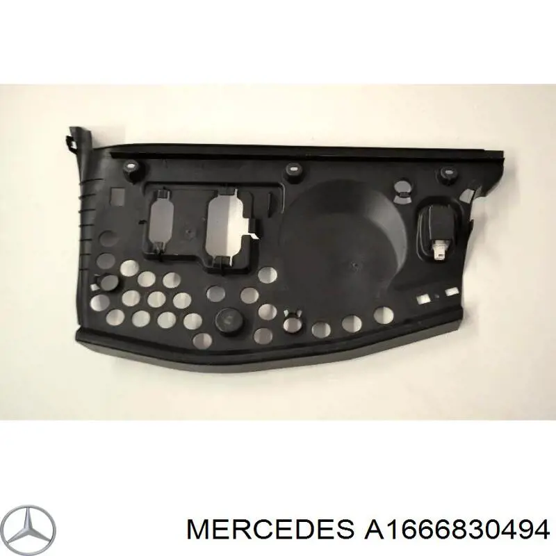  A1666830494 Mercedes