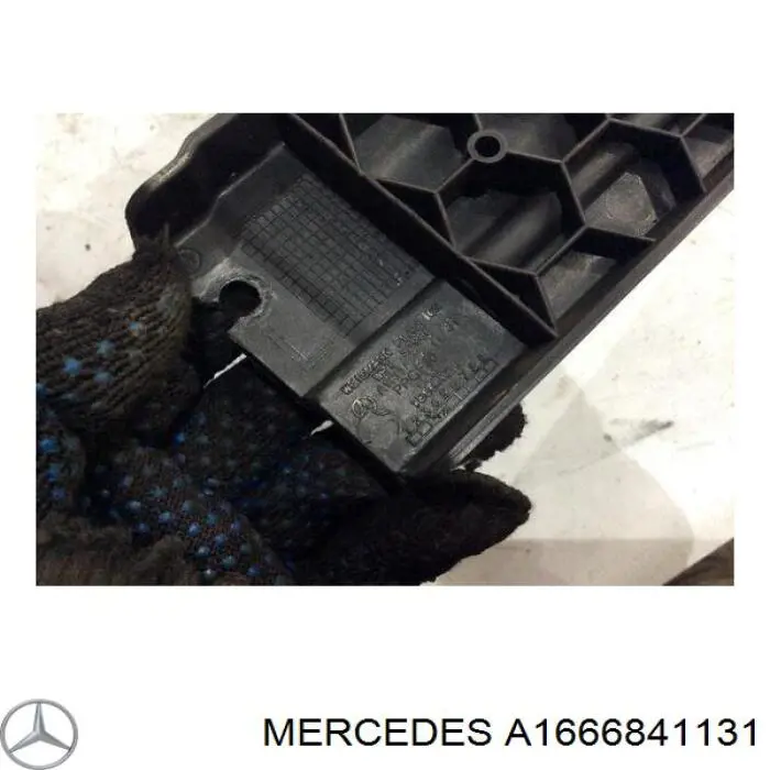 A1666841131 Mercedes