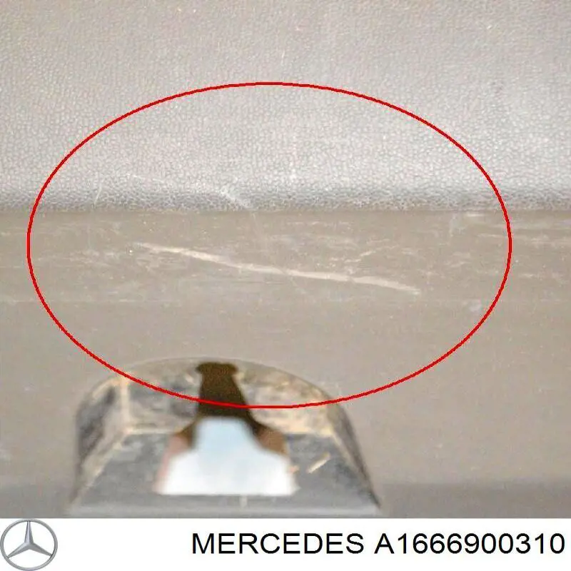  Mercedes A1666900310