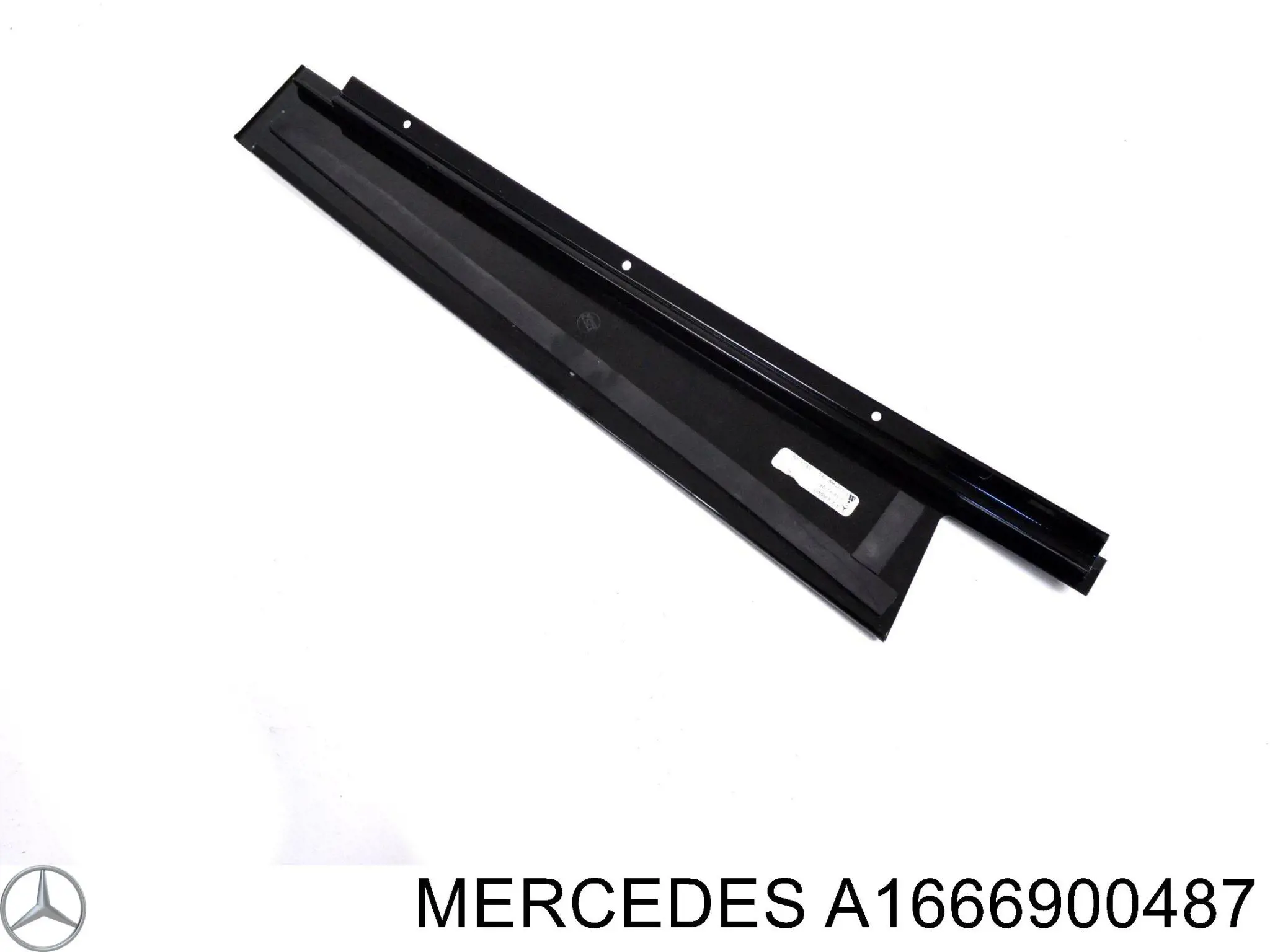 A1666900487 Mercedes