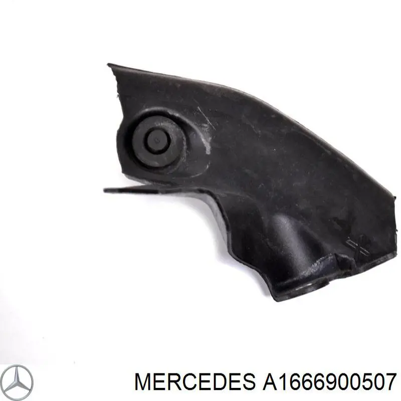 A1666900507 Mercedes