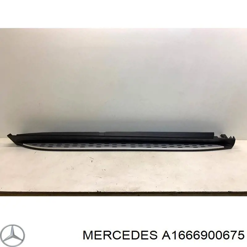 A1666900675 Mercedes