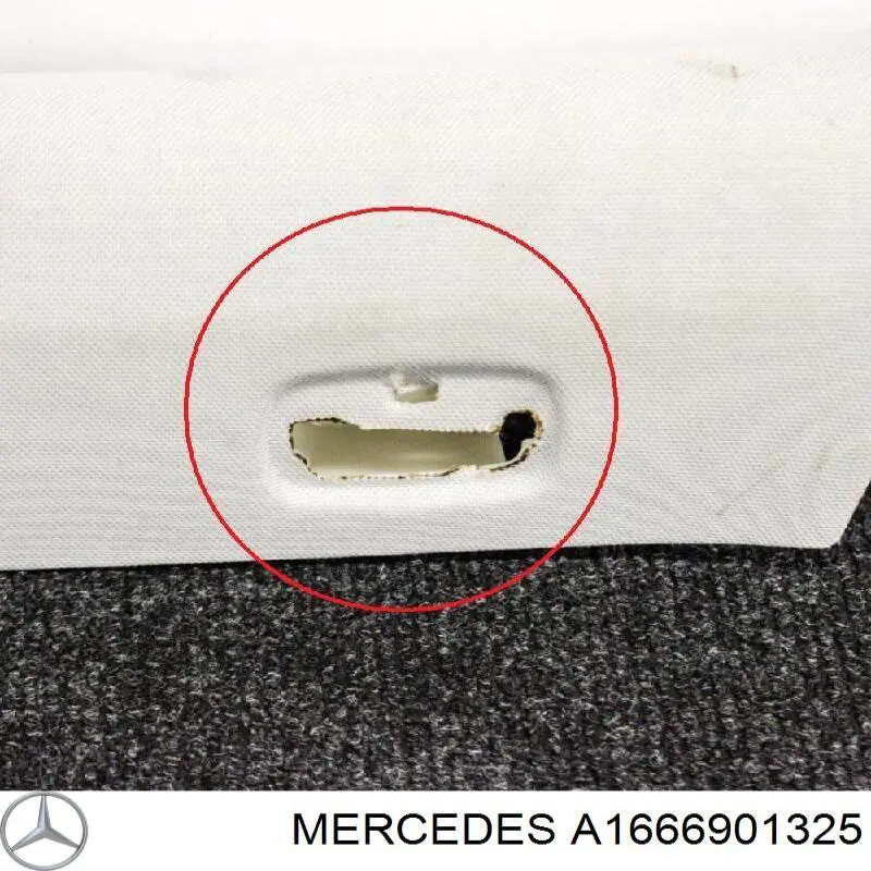 A1666901325 Mercedes