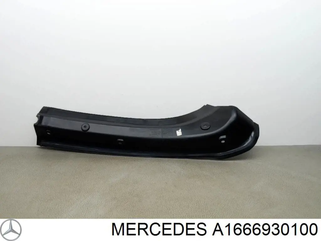 A1666930100 Mercedes