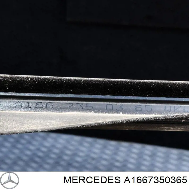 A1667350365 Mercedes