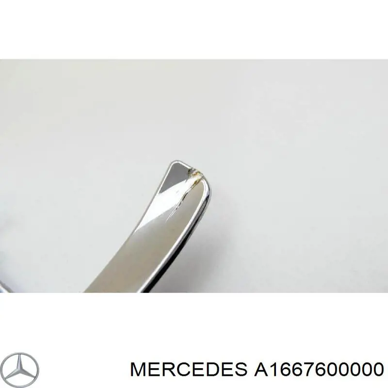 A1667600000 Mercedes 