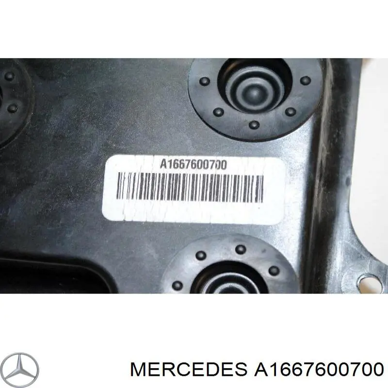 A1667600700 Mercedes