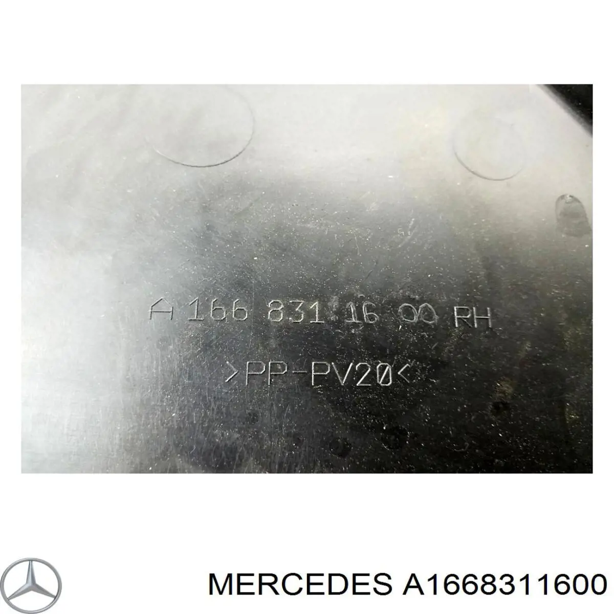 A1668310141 Mercedes 