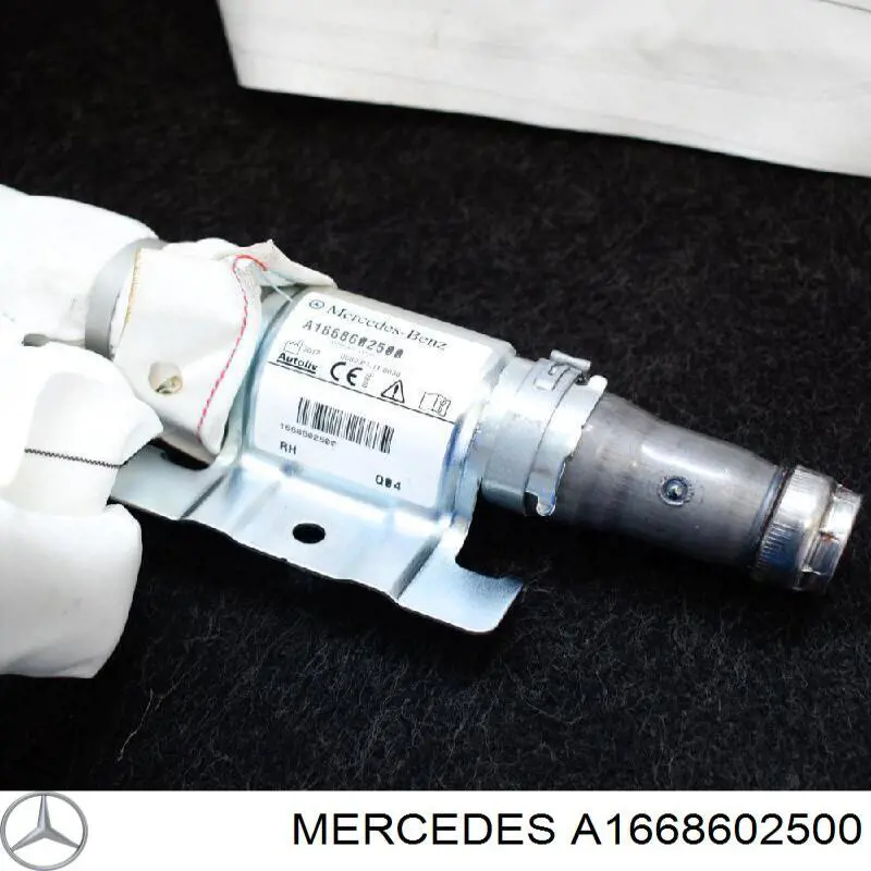 A1668602500 Mercedes