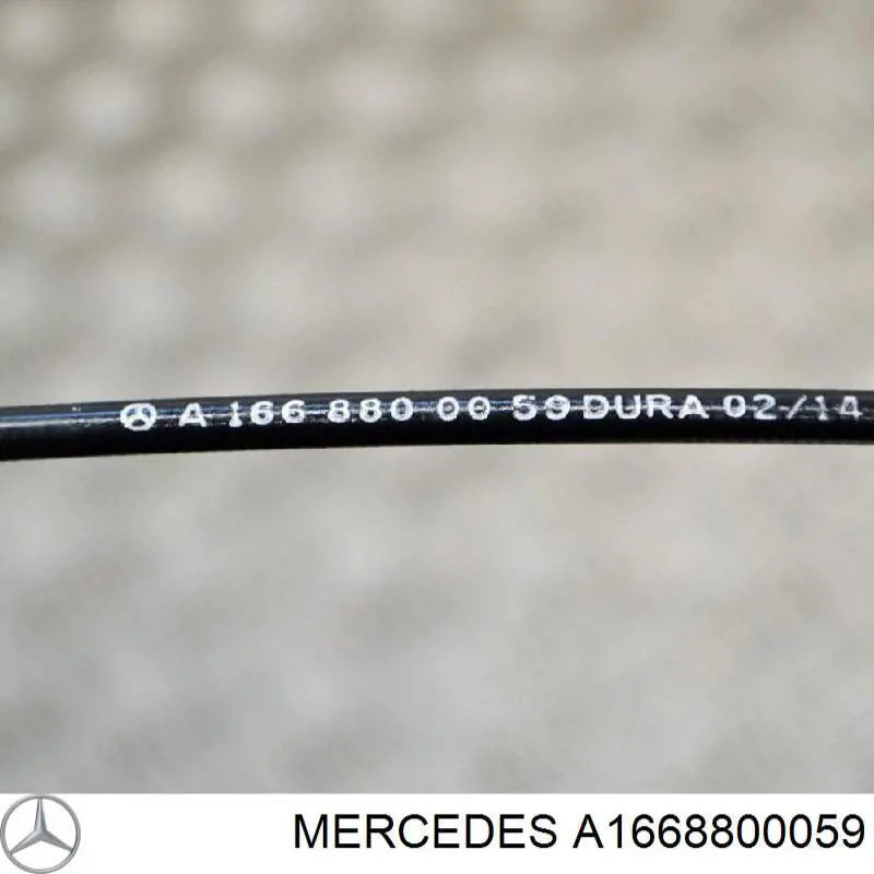 1668800059 Mercedes