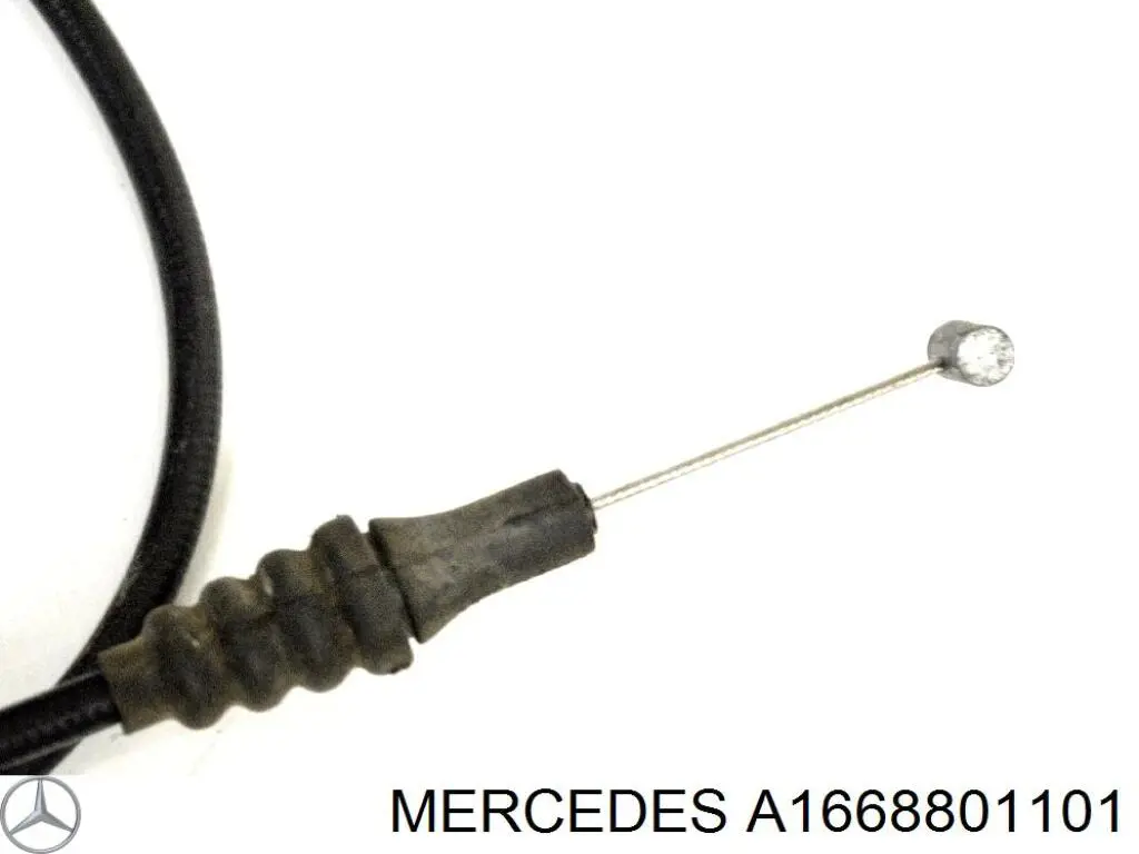 A1668801101 Mercedes